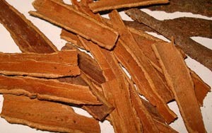 cinnamon-Karuvappatta
